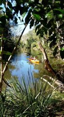 Having fun in Wallaby Waterhole