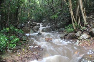 Twin Gorges running