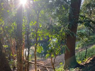 View to the creek