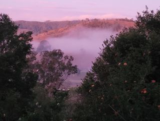 The Fog Rolling in