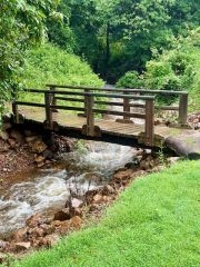 Coop's Crossing