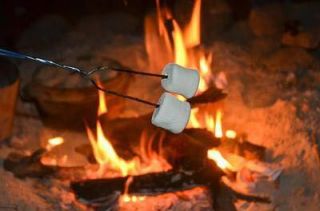 Toasting Marshmallows